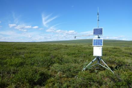 A data collection station sits at the Kuzitrin River ground temperature monitoring site on the Seward Peninsula, one of several sites in the Geophysical Institute Permafrost Laboratory’s monitoring network. Scientists have observed talik development at the site. Photo by Vladimir Romanovsky.