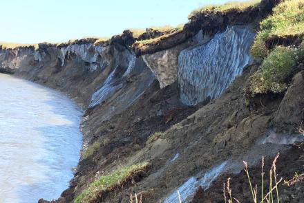 Permafrost stores large amounts of carbon that may be released to ecosystems and the atmosphere when permafrost thaws. These bluffs are on the bank of Alaska’s Canning River in 2019. USGS photo.