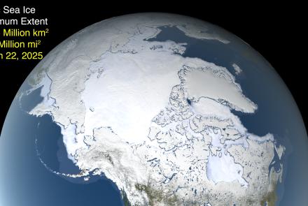 The image shows the ice extent — defined as the total area in which the ice concentration is at least 15% — at its 2025 maximum, which occurred on March 22. NASA illustration by Trent L. Schindler