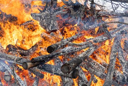 Wood and brush burn in controlled and monitored fire along the Wildfire Walk trail through the Yankovich Road Fire Site on the UAF Troth Yeddha’ campus April 14, 2025. UAF photo by Eric Engman