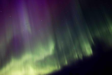 The aurora shines over Fairbanks on Oct. 5, 2024. Photo by Bryan Whitten