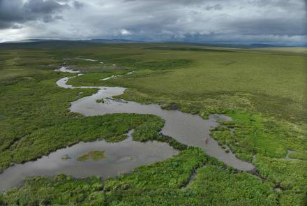  Tom Glass and Rodrigo Rangel navigate a beaver pond on the northern Seward Peninsula in August 2024. Photo by Benjamin Jones