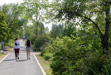 Two people walk through Georgeson Botanical Garden at the University of Alaska Fairbanks on June 19, 2025. Photo by Eric Engman