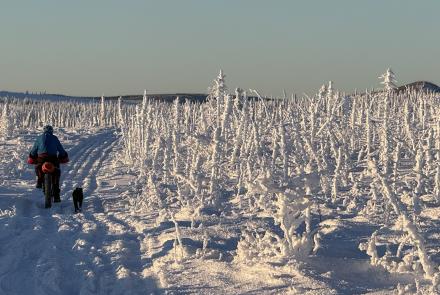 Ned Rozell and his dog Cora move uphill on a trip in the White Mountains National Recreation Area in January 2026. Photo by Chris Swingley.