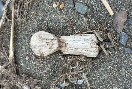 Human figurines with limbless bodies like this one are common finds at Nunalleq. Some were used as toys, while others were used as protective charms or in religious observances. Photo by Alice Bailey.