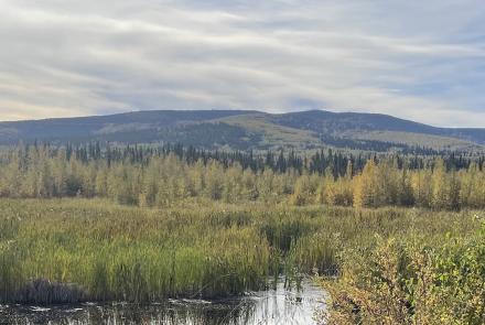 Ester Dome pokes 2,362 feet into the Interior Alaska sky. Runners will navigate much of the hill during the Equinox Marathon. Photo by Ned Rozell.