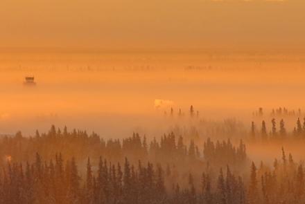 Ice fog, a phrase in Russell Tabbert’s Dictionary of Alaskan English, is not uttered in many other places because to form it takes a sustained temperature of minus 35 F. Ned Rozell photo.