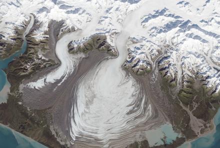 Malaspina Glacier spills out toward the Gulf of Alaska in this 2014 image. Image courtesy of NASA Earth Observatory.