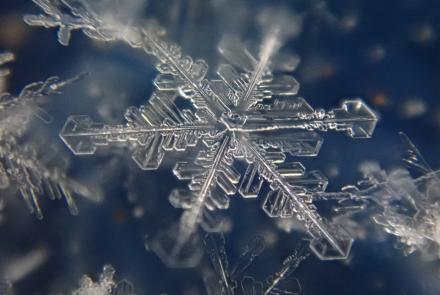 A. Matthew Sturm captured these images of snow crystals falling in a Dec. 26, 2021, storm in Fairbanks. Their shapes correspond to different temperatures and humidity within the cloud that formed them. Matthew Sturm photos.