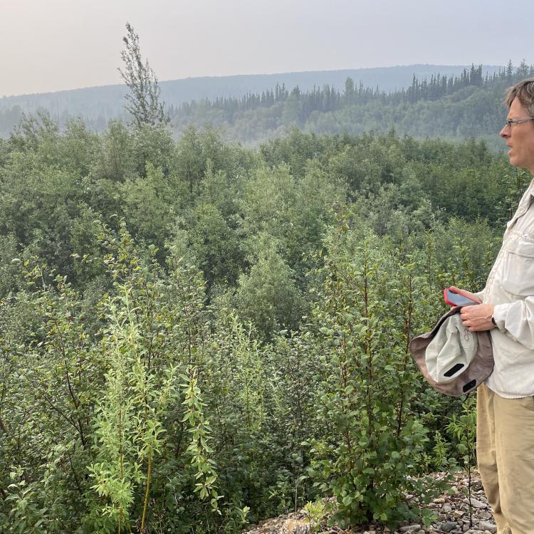 Seismologist Carl Tape looks out at the site of the former Dome City at 10 p.m. on July 6, 2025, the 113th anniversary of a large earthquake in Interior Alaska. Photo by Ned Rozell.