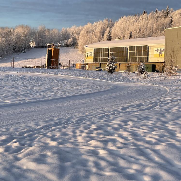 December sunshine lights a freshly groomed cross-country ski trail and the Student Recreation Center at the University of Alaska Fairbanks. Photo by Ned Rozell.