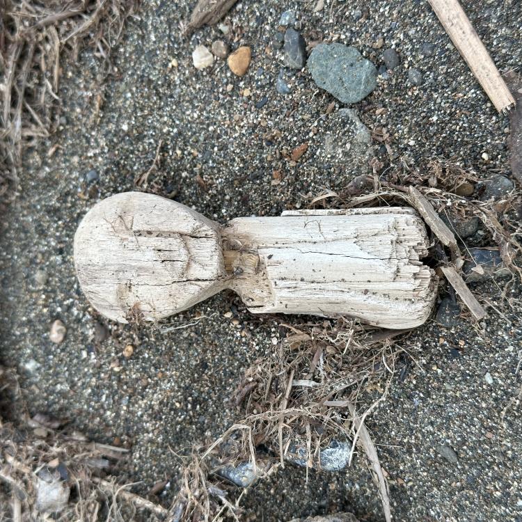 Human figurines with limbless bodies like this one are common finds at Nunalleq. Some were used as toys, while others were used as protective charms or in religious observances. Photo by Alice Bailey.