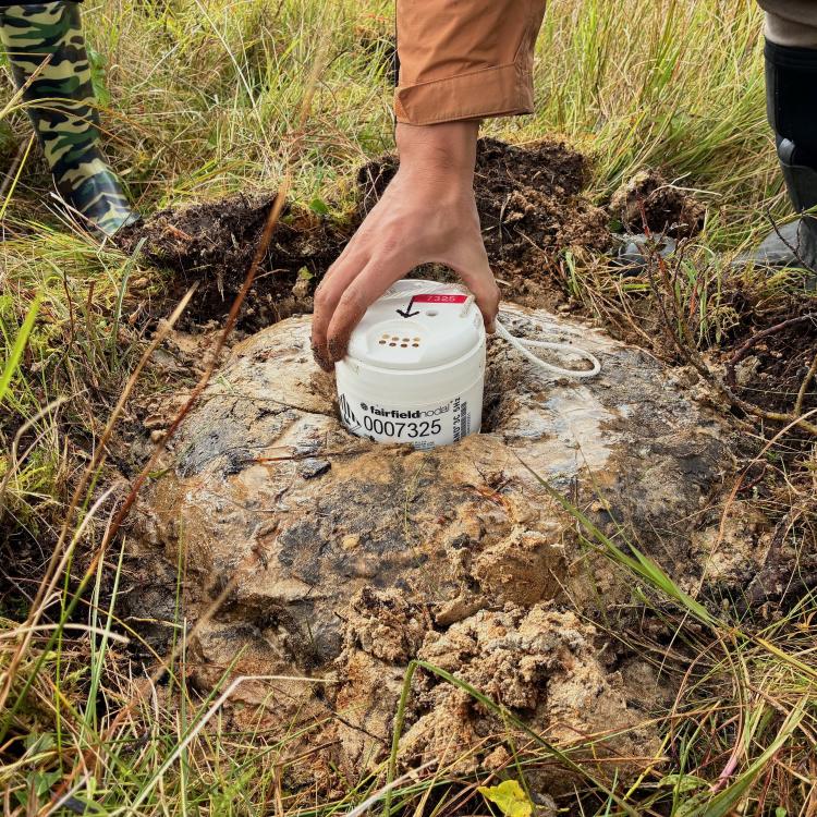 A seismic sensor resting in a “mud pie” on Kodiak Island in September 2025. Photo by Cade Quigley