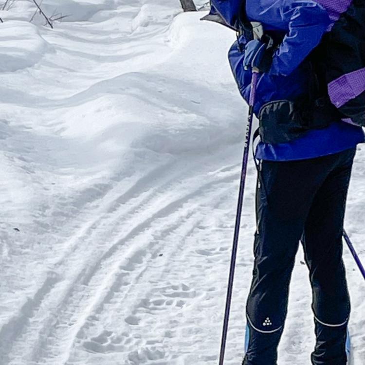 Kristen Rozell skis past grizzly bear tracks pressed into a snowmachine trail near Fairbanks on April 23, 2023. Photo by Ned Rozell.