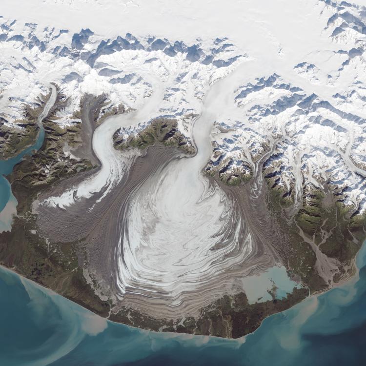 Malaspina Glacier spills out toward the Gulf of Alaska in this 2014 image. Image courtesy of NASA Earth Observatory.