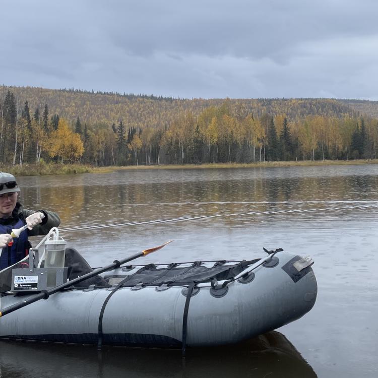 Biologist Erik Schoen gathers a water sample from a slough of the Chena River about 45 miles east of Fairbanks in September 2025. His team members will check the sample for possible DNA evidence of northern pike in the water. Photo by Ned Rozell.