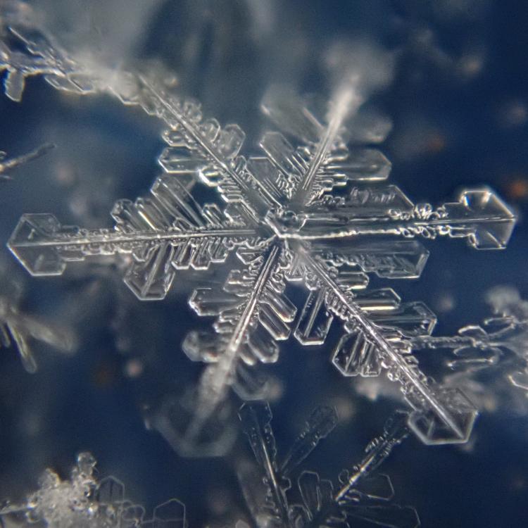 A. Matthew Sturm captured these images of snow crystals falling in a Dec. 26, 2021, storm in Fairbanks. Their shapes correspond to different temperatures and humidity within the cloud that formed them. Matthew Sturm photos.