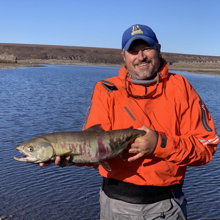 Peter Westley holds a mostly spawned out female chum salmon he captured in the Anaktuvuk River, just behind him, in September 2023. Photo courtesy Peter Westley.