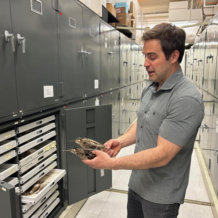 Person holding bird specimens